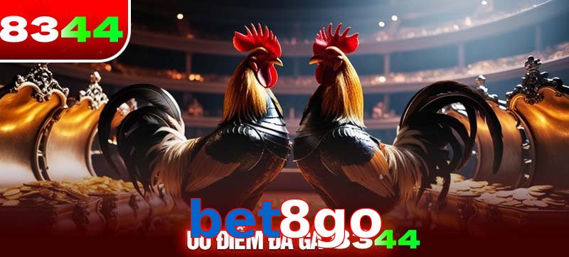 Thể loại đá gà bet8go được ưa chuộng